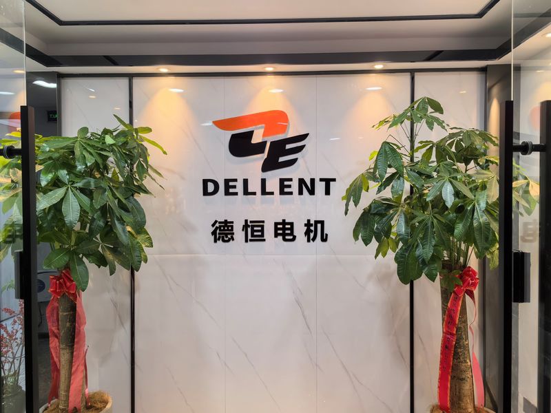 Chiny Fuan Dellent Electric &amp; Machinery Co., Ltd. profil firmy